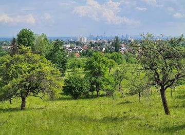 germany/taunus/attraction/kirdorfer-feld