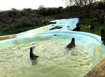 united-kingdom/lincolnshire/attraction/the-seal-sanctuary-wildlife-centre