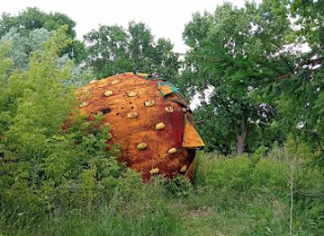 poland/zegrze-reservoir/attraction/abandoned-strawberry
