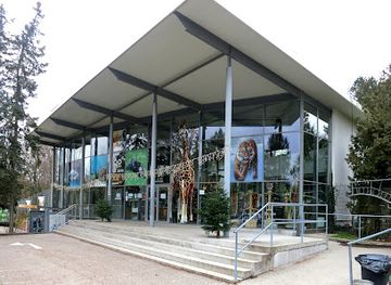austria/muhlviertel/attraction/zoo-schmiding-museum-meeting-of-cultures