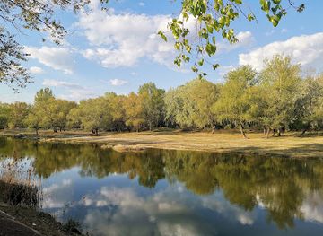 romania/bacau/attraction/delta-bacaului