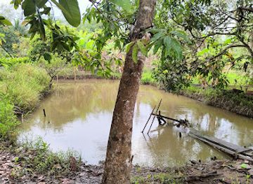 vietnam/can-tho/attraction/relic-park-plums