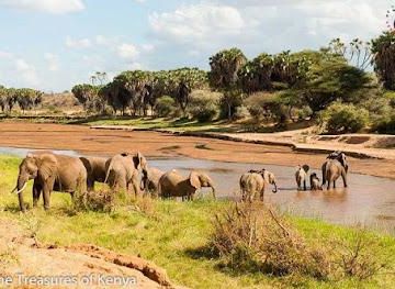 kenya/nairobi/attraction/cruzeiro-safaris-kenya