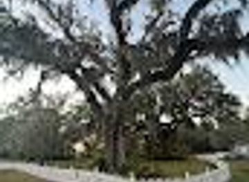 louisiana/honey-island-swamp/attraction/otis-house