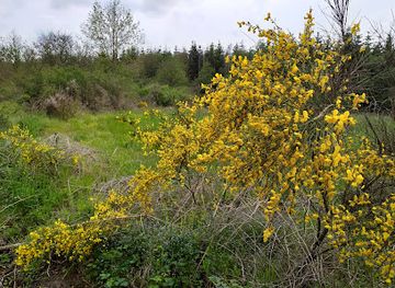 belgium/durbuy/attraction/rustpunt