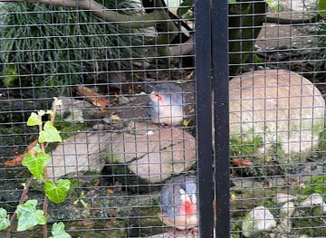switzerland/zurich/enge/attraction/bird-aviary