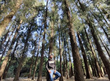 india/mahabaleshwar/attraction/whistling-woods