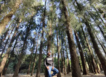 Whistling woods