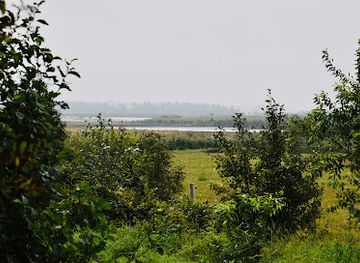 denmark/gedser-odde/attraction/bird-watching-tower