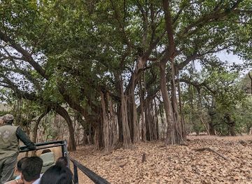 india/ranthambore/attraction/ranthambore-zone-2