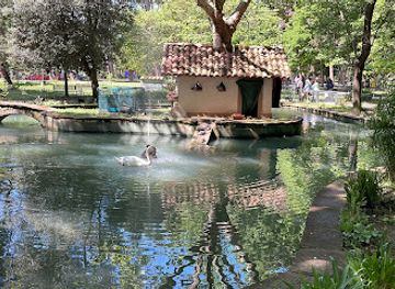 italy/versilia/attraction/laghetto-dei-cigni