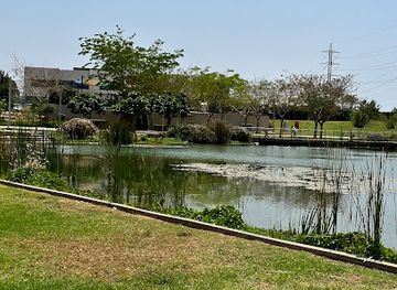 israel/hadera/attraction/agam-hako-park
