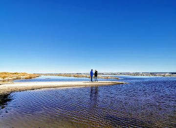 denmark/the-north-sea-islands/attraction/dueodde