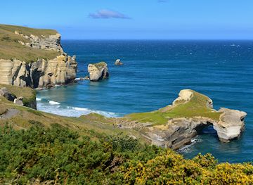 new-zealand/dunedin/attraction/tunnel-beach-walking-track