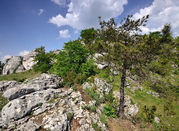 poland/silesia/attraction/jaskinia-gleboka