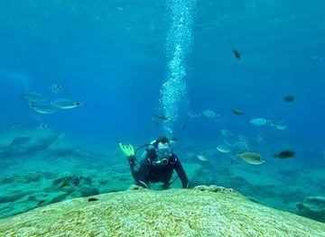 cyprus/protaras/attraction/poseidon-dive-centre-protaras-cyprus