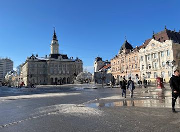 serbia/novi-sad/attraction/monument-of-svetozar-miletic