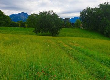 switzerland/montreux/attraction/parc-du-mont-burier