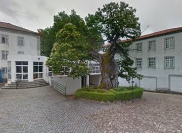 portugal/lamego/attraction/castano-milenario