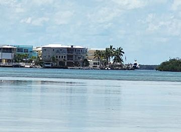 florida/islamorada/attraction/wild-bird-sanctuary-florida-keys-wild-bird-center