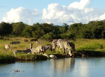 zambia/kafue-national-park/attraction/parays-animal-sanctuary