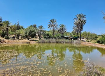 israel/modi-in/attraction/neot-kedumim