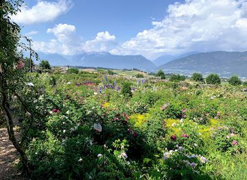 italy/val-di-non/attraction/giardino-della-rosa