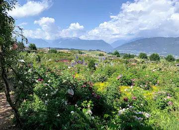Giardino della Rosa