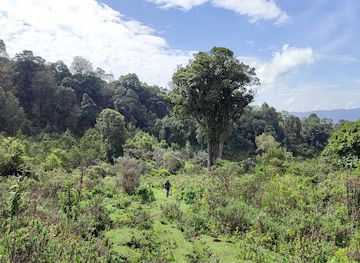 kenya/nyandarua-range/attraction/mount-kipipiri