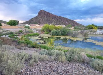 arizona/saguaro-national-park/attraction/el-rio-preserve
