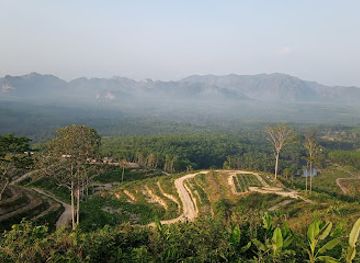 thailand/trang/attraction/cultigo-by-witheetrang