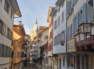switzerland/zug/attraction/afrika-museum-zug