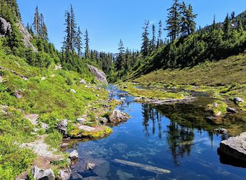 washington/mount-baker/attraction/mt-baker-snoqualmie-national-forest