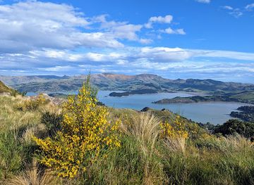new-zealand/christchurch/attraction/sugarloaf-scenic-reserve