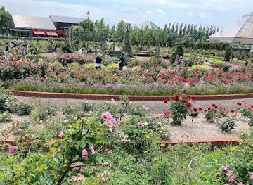 japan/sapporo/attraction/iwamizawa-park