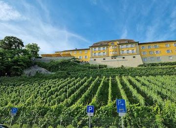 austria/dornbirn/attraction/staatsweingut-meersburg