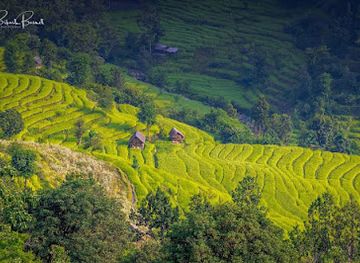 nepal/kathmandu-valley/attraction/natural-history-museum