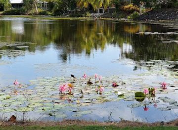 australia/port-douglas/attraction/warri-park-wetland