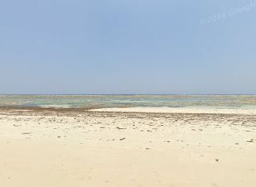 kenya/diani-beach/attraction/kiwara-safaris-ltd