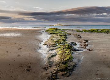 united-kingdom/northumberland-coast/attraction/coquet-island
