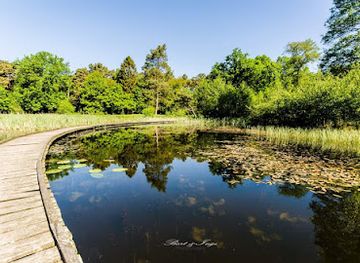 belgium/hoge-kempen-national-park/attraction/domein-kelchterhoef