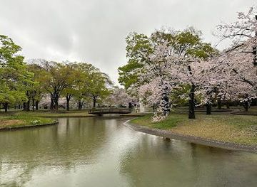 japan/tokyo/attraction/yoyogi-park