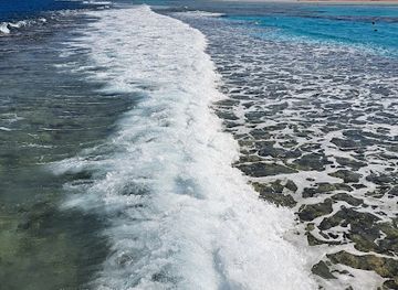 egypt/red-sea-coast/attraction/steg-tropitel-sahl-hasheesh