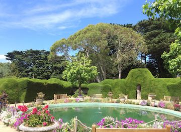australia/new-england/attraction/ashcombe-maze-lavender-gardens
