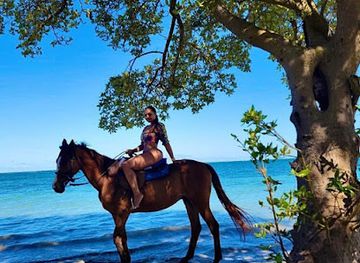 jamaica/north-coast/attraction/unique-tours-jamaica