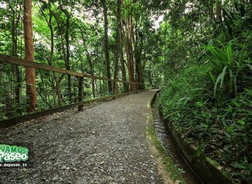 puerto-rico/caribbean-national-forest/attraction/hacienda-buena-vista-para-la-naturaleza