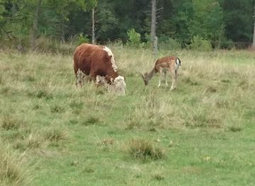 sweden/linkoping/attraction/butterfly-hill