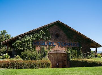 chile/curico/attraction/miguel-torres-chile