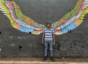 tanzania/arusha/attraction/arusha-wings