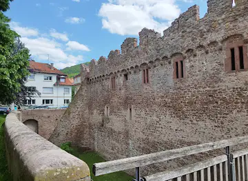 Handschuhsheim, Tiefburg